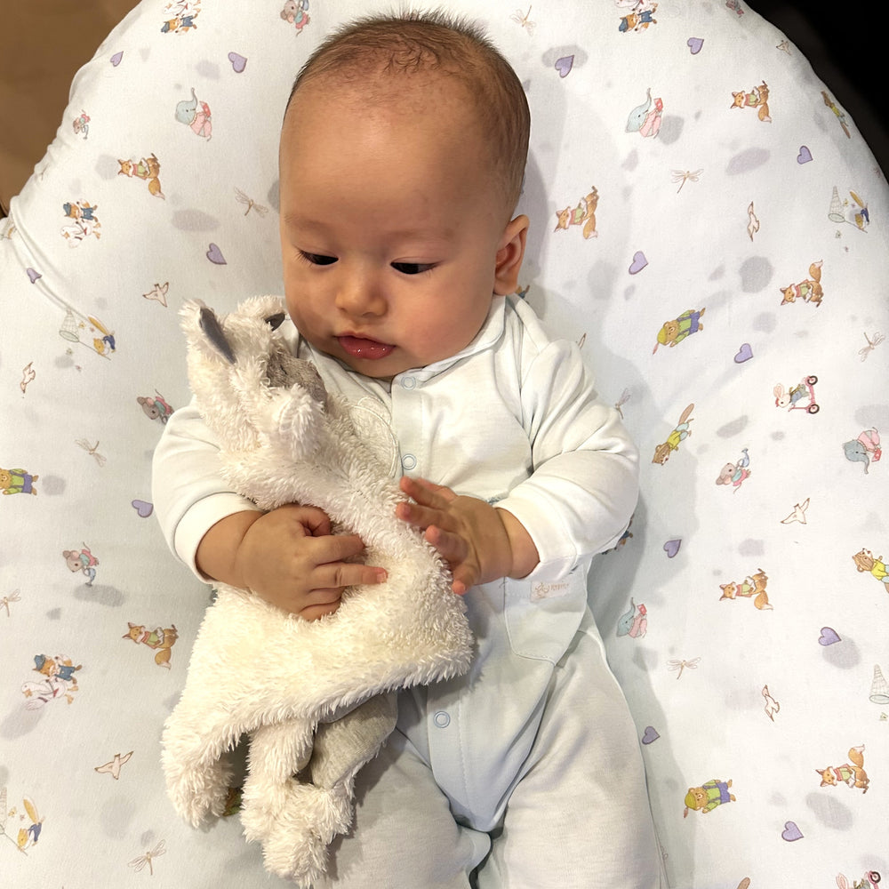 Sheep Farm Security Blanket